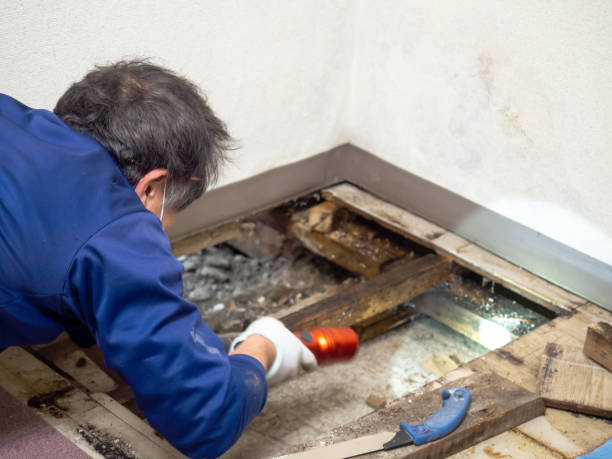 Best Mold Testing  in Astia, OR