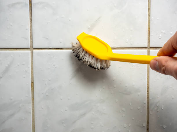 Best Emergency Mold Removal  in Astia, OR