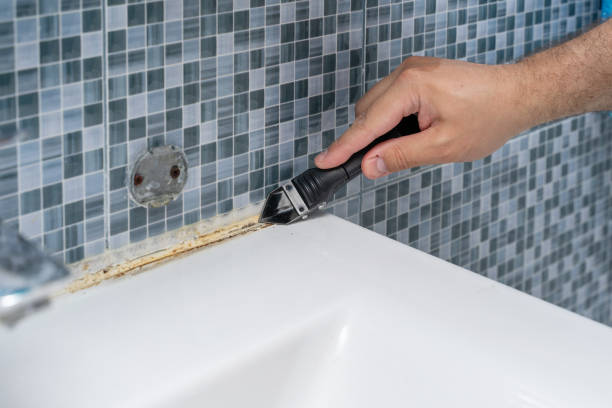 Best Residential Mold Removal  in Astia, OR