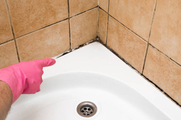 Best Crawl Space Mold Removal  in Astia, OR
